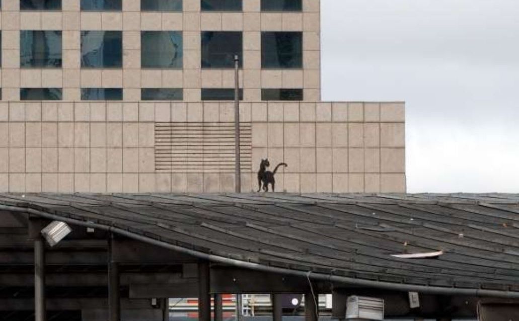 L'escultura del gat a la plaça dels Països Catalans de Barcelona