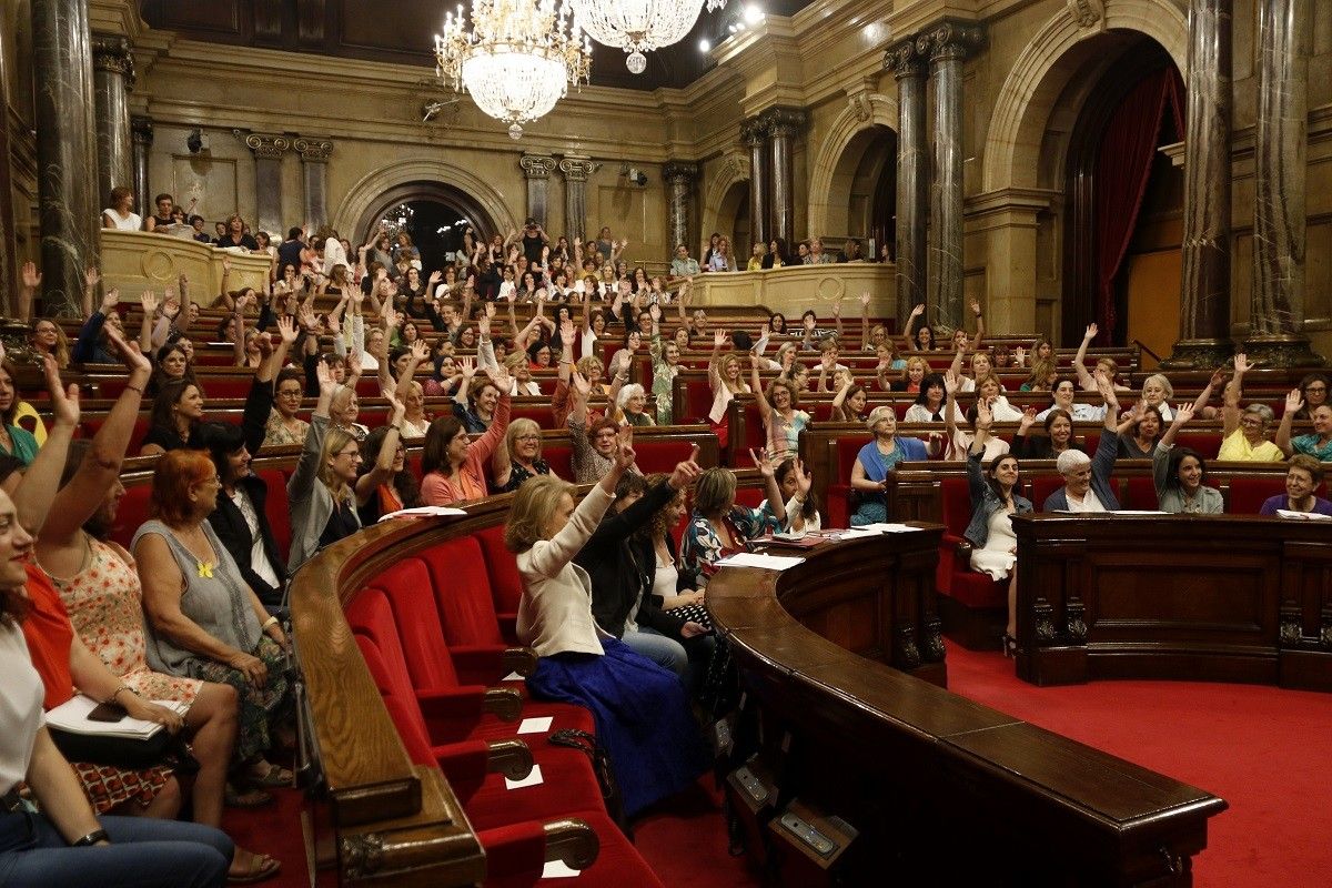 Diputades i membres d'entitats, en el ple de les Dones celebrat al Parlament