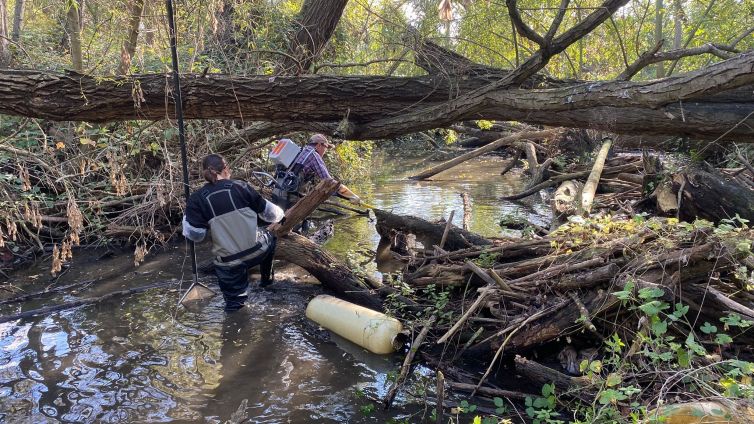 A la zona del Baix Ter pràcticament no han quedat espècies de peixos autòctons