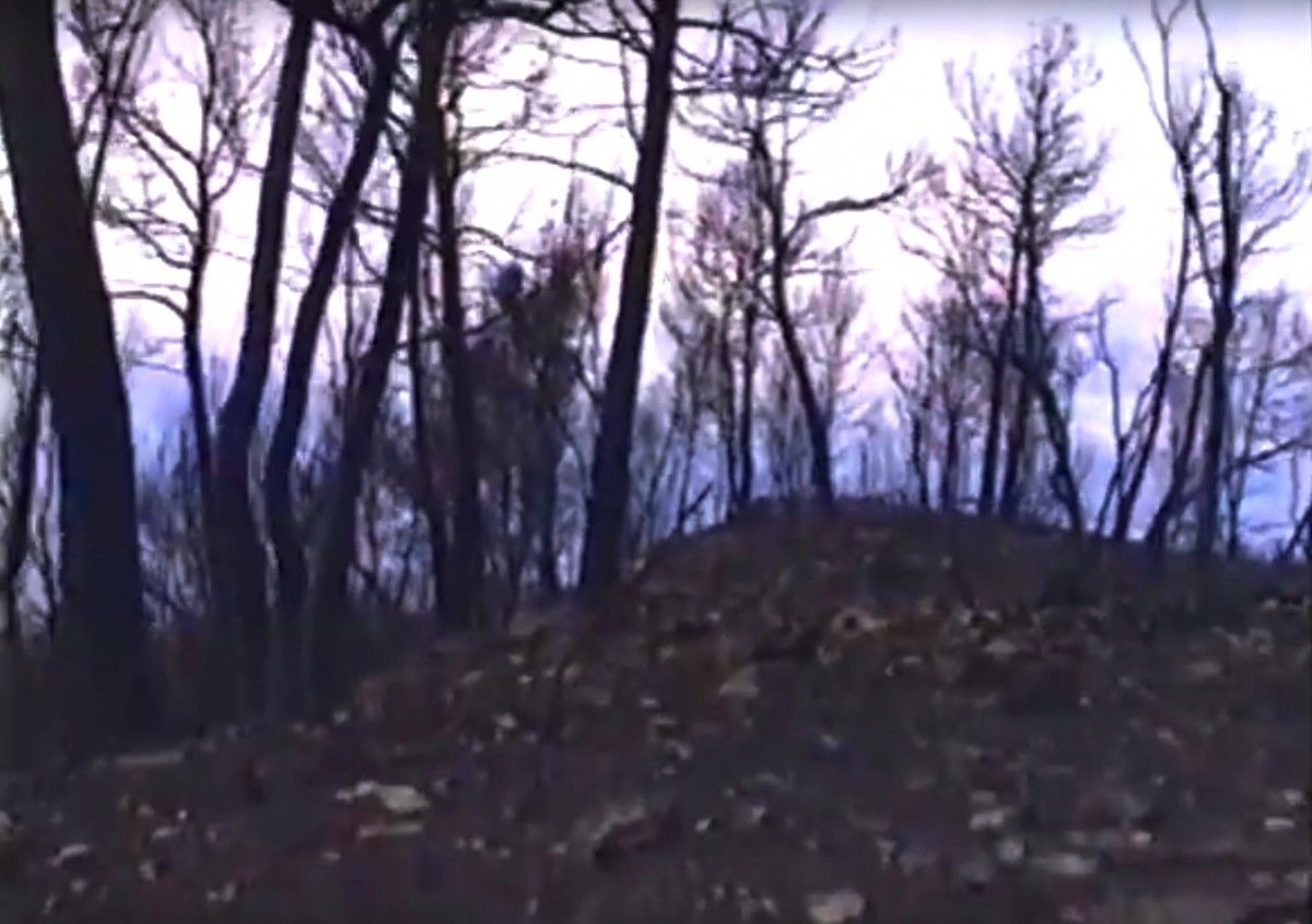 Frame del vídeo inèdit del després de l'incendi de 1994 al Bages i al Berguedà
