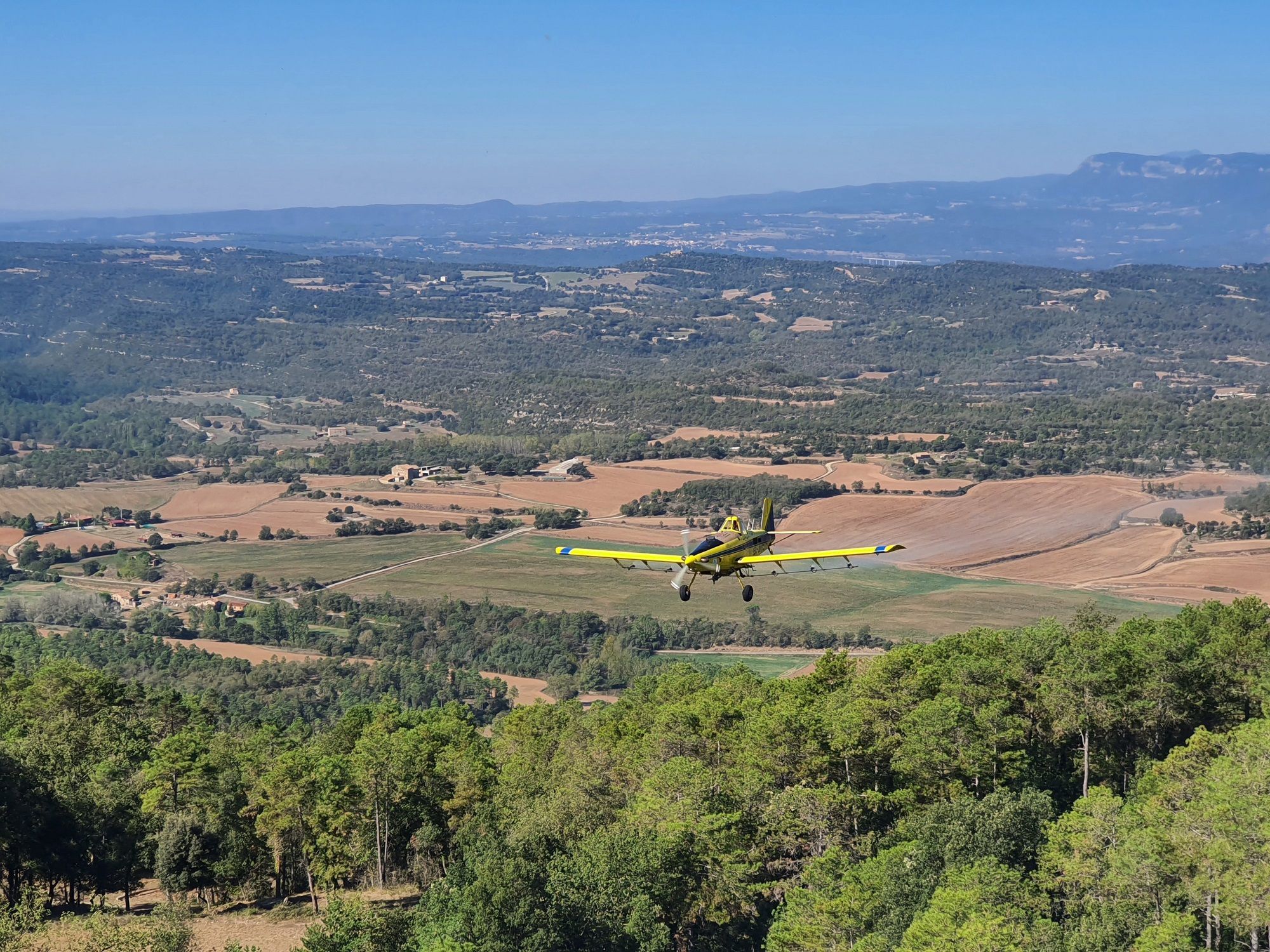 Fumigacions des de l'aire a pinedes afectades per processionària