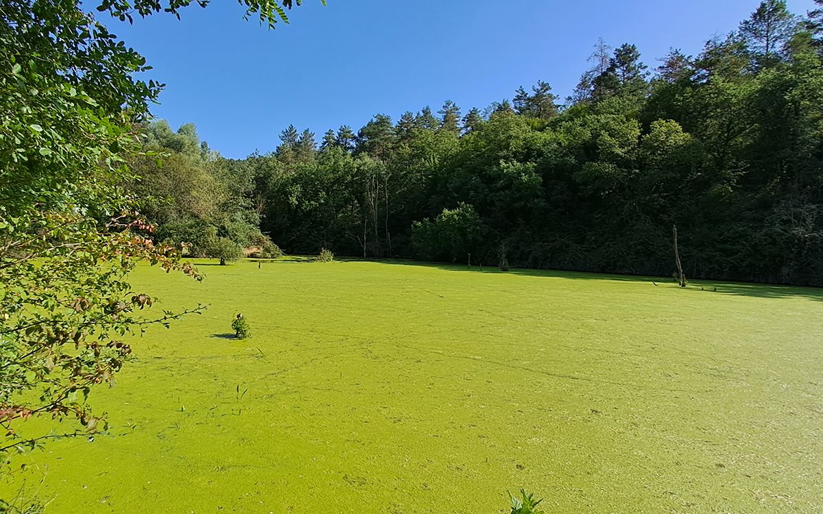 embassament riera sorreigs sant boi llucanes aca nacio osona