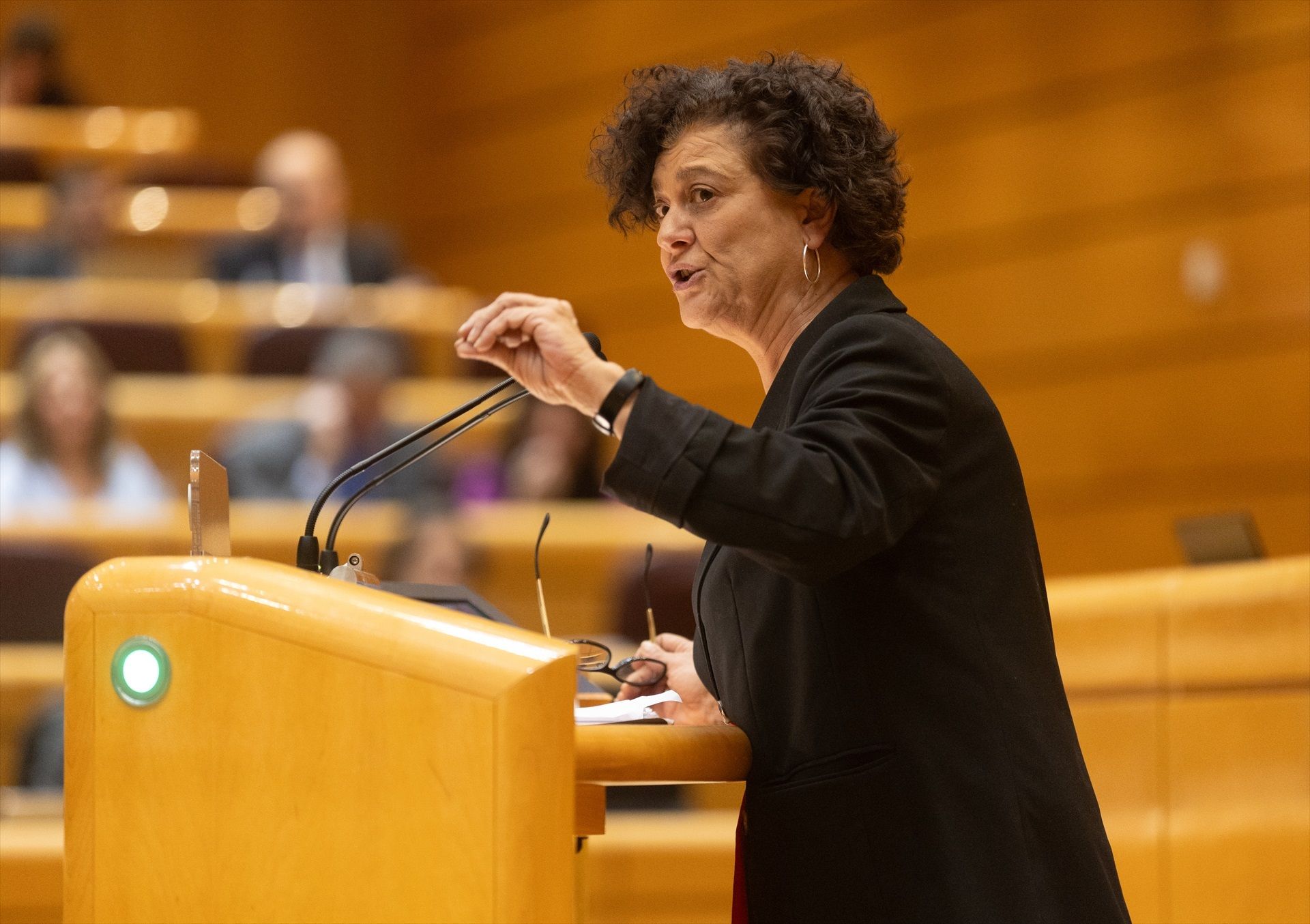 La diputada d'ERC, Pilar Valluguera, en un ple del Congrés aquest passat gener