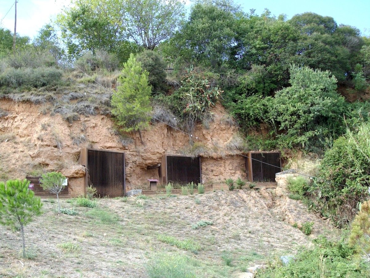Les coves de Sant Oleguer