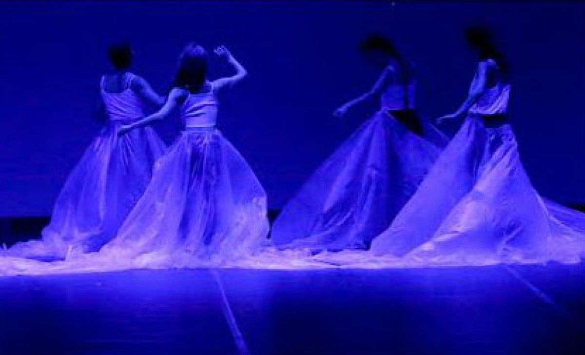 Imatge d'una d eles coreografies de Dansa i Art.