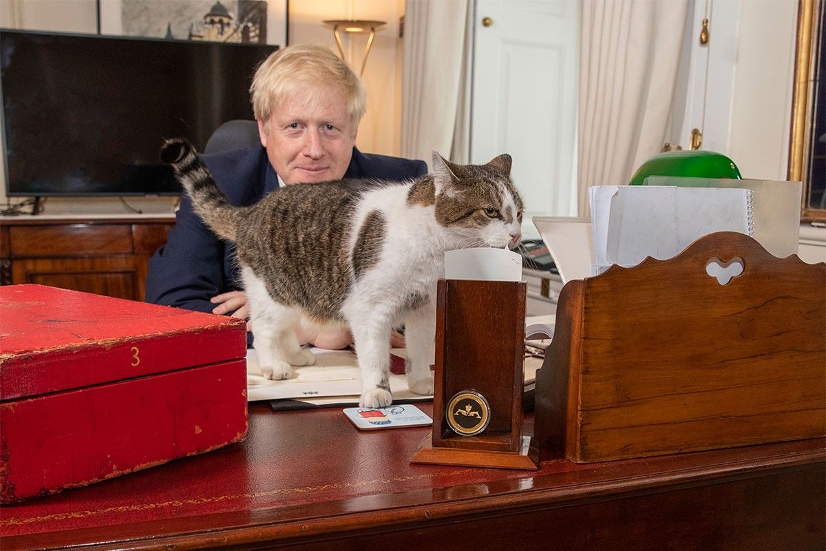 Boris Johnson amb el gat Larry, que ja ha vist passar tres primers ministres per Downing Street.