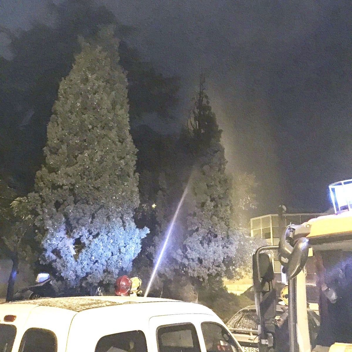 Incendi en un arbre a Can Feu