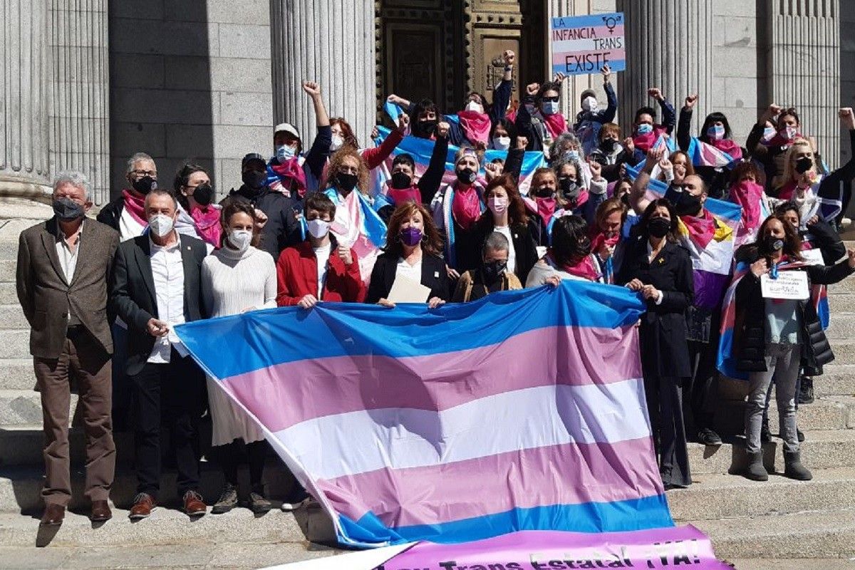 Defensors de la llei trans, el dia que es va registrar al Congrés