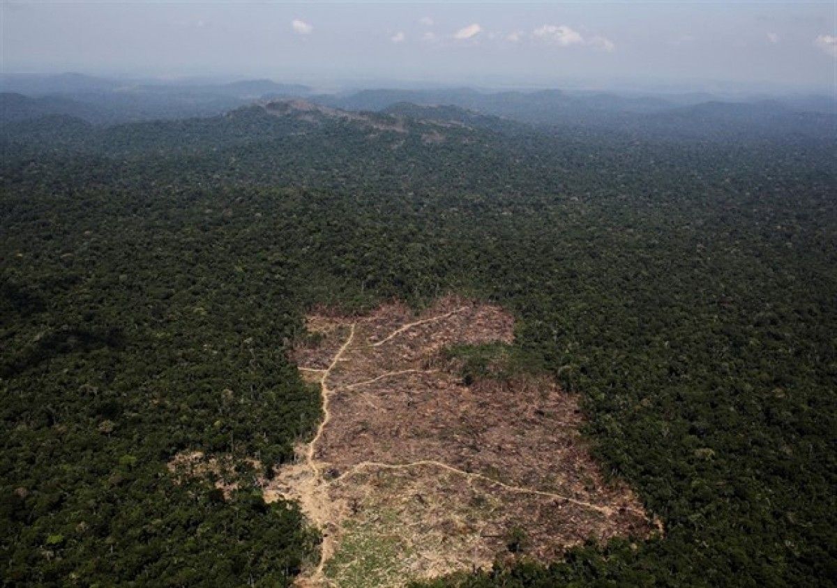 L'incendi que ha devorat part de l'Amazònia