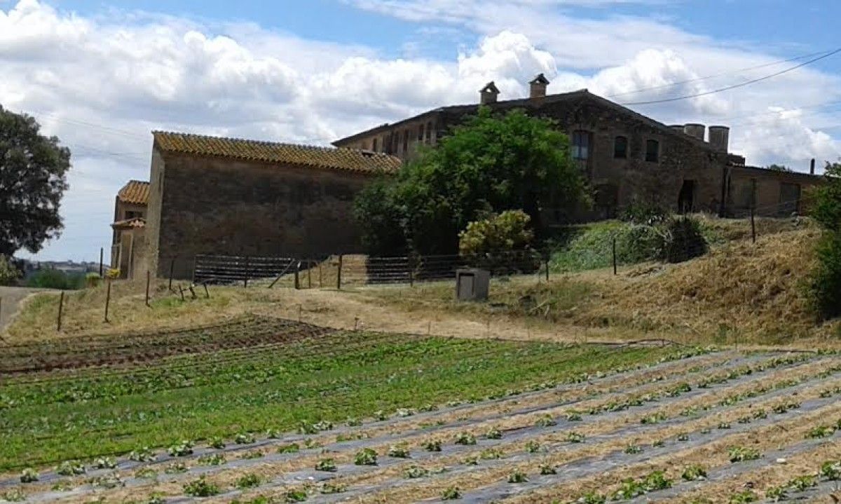 Imatge d'una de les zones de cultiu del Vallès Occidental.