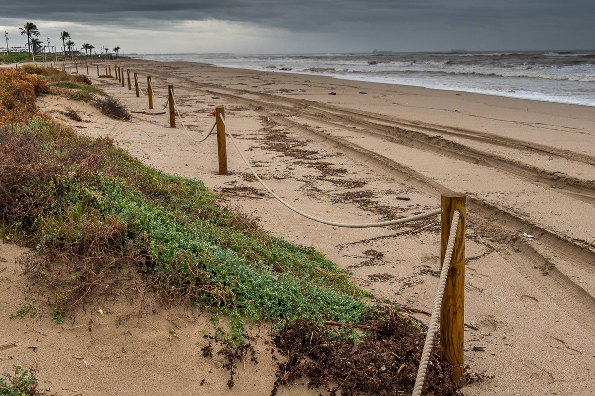 El canvi climàtic agreuja la regressió de les platges metropolitanes