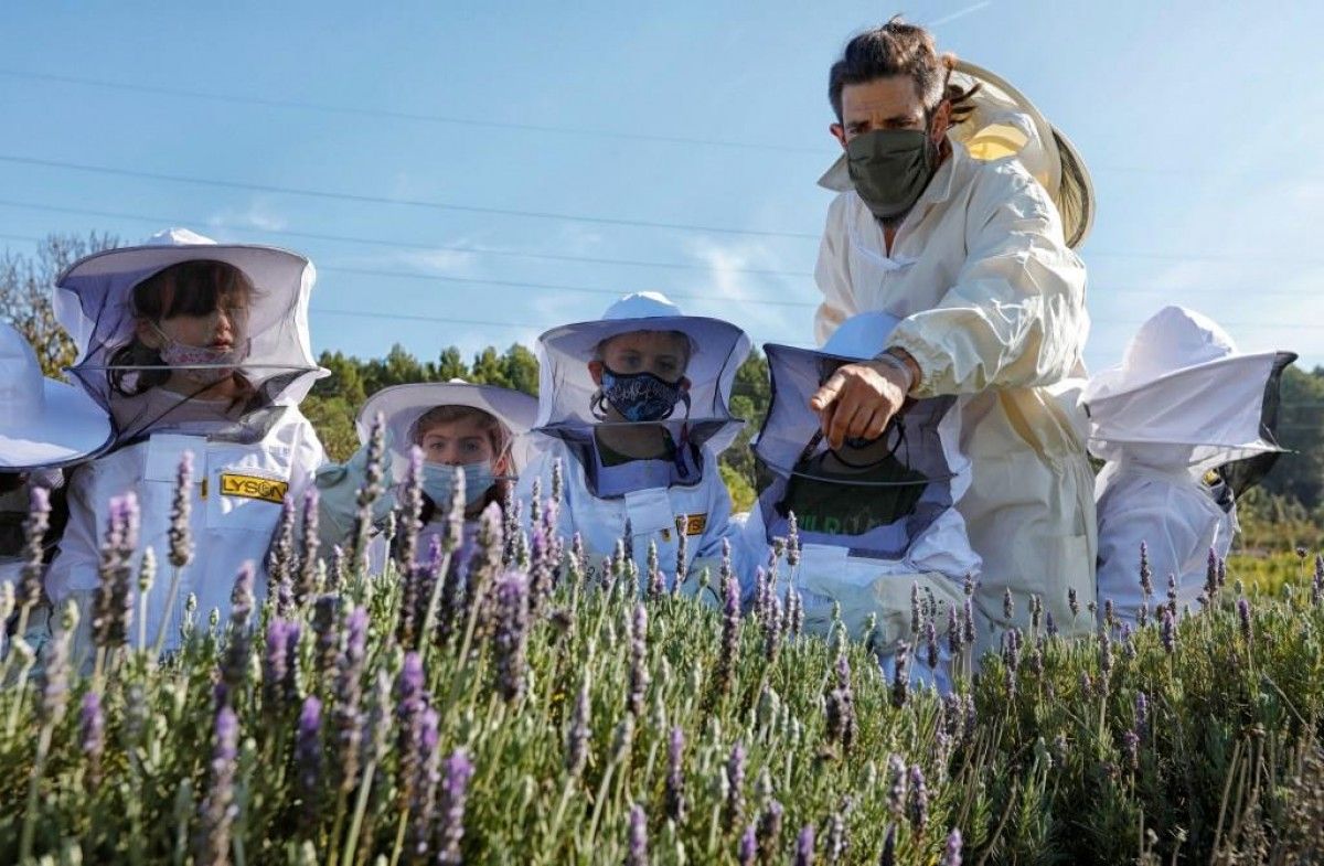 La gestió del nou apiari de Roques Blanques es fa sota els criteris d’una apicultura artesanal, sostenible i ecològica