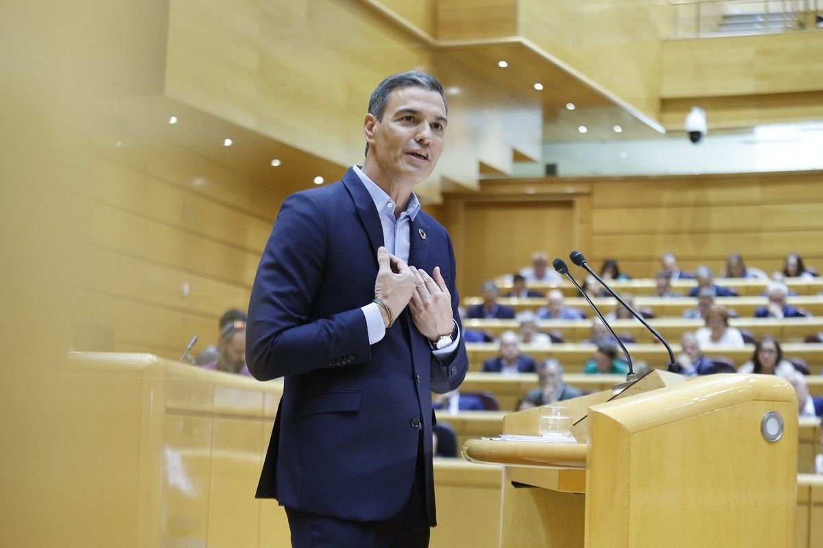 Sánchez, durant la seva intervenció  al Senat