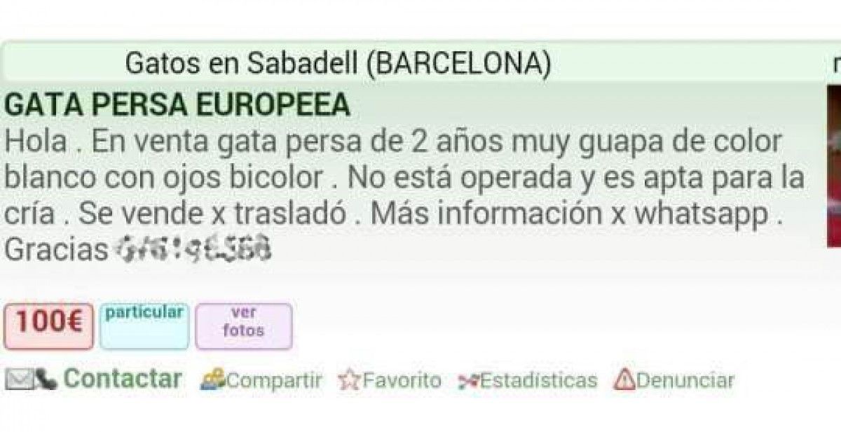 Denúncia feta a Sabadell