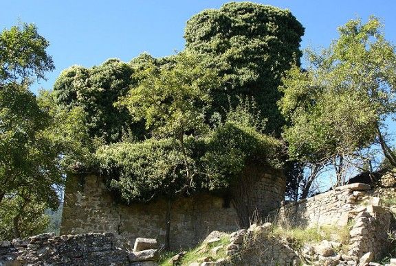 L'església de Sant Quintí de Puigrodon amenaça ruïna.