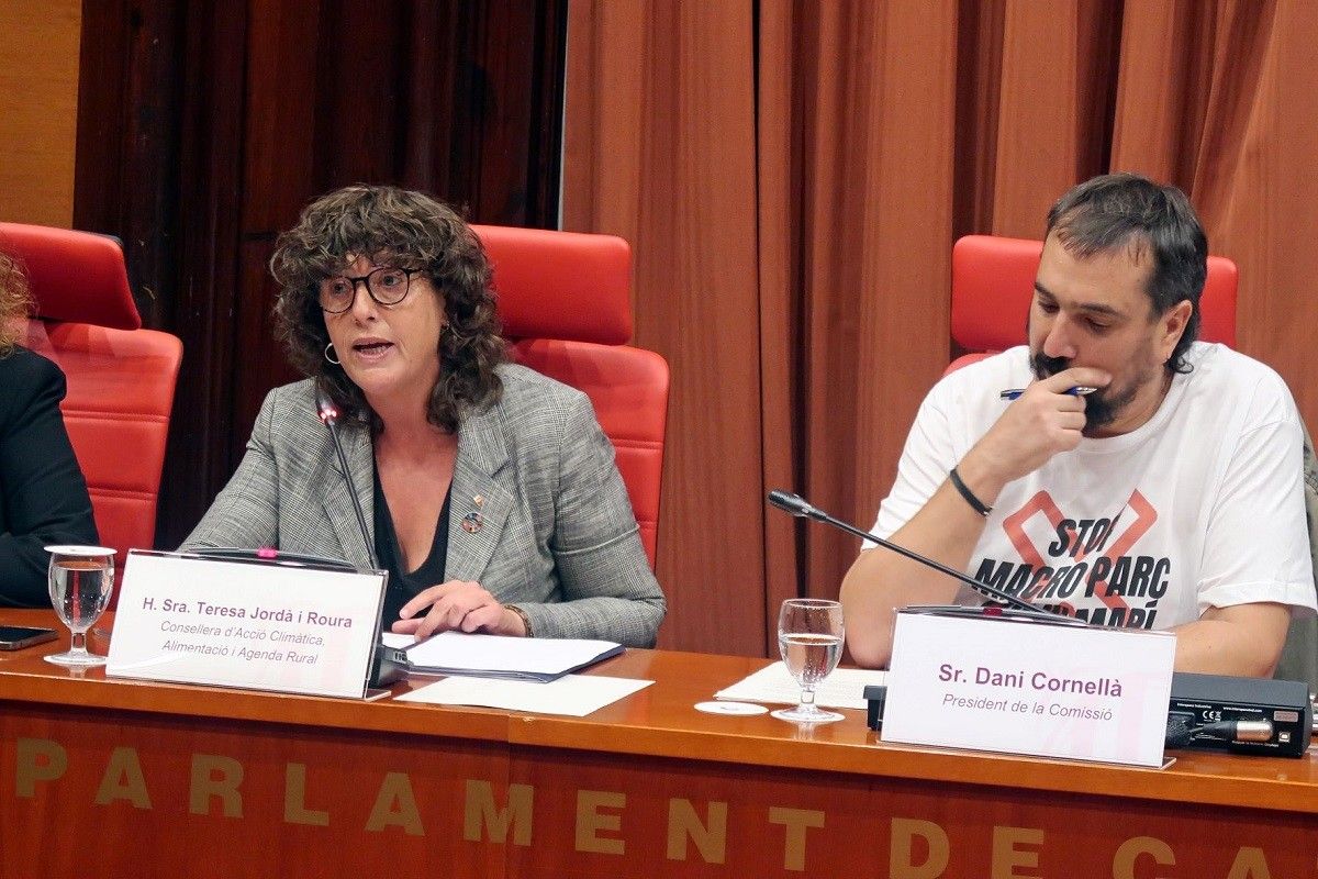 La consellera Teresa Jordà a la Comissió d'Acció Climàtica