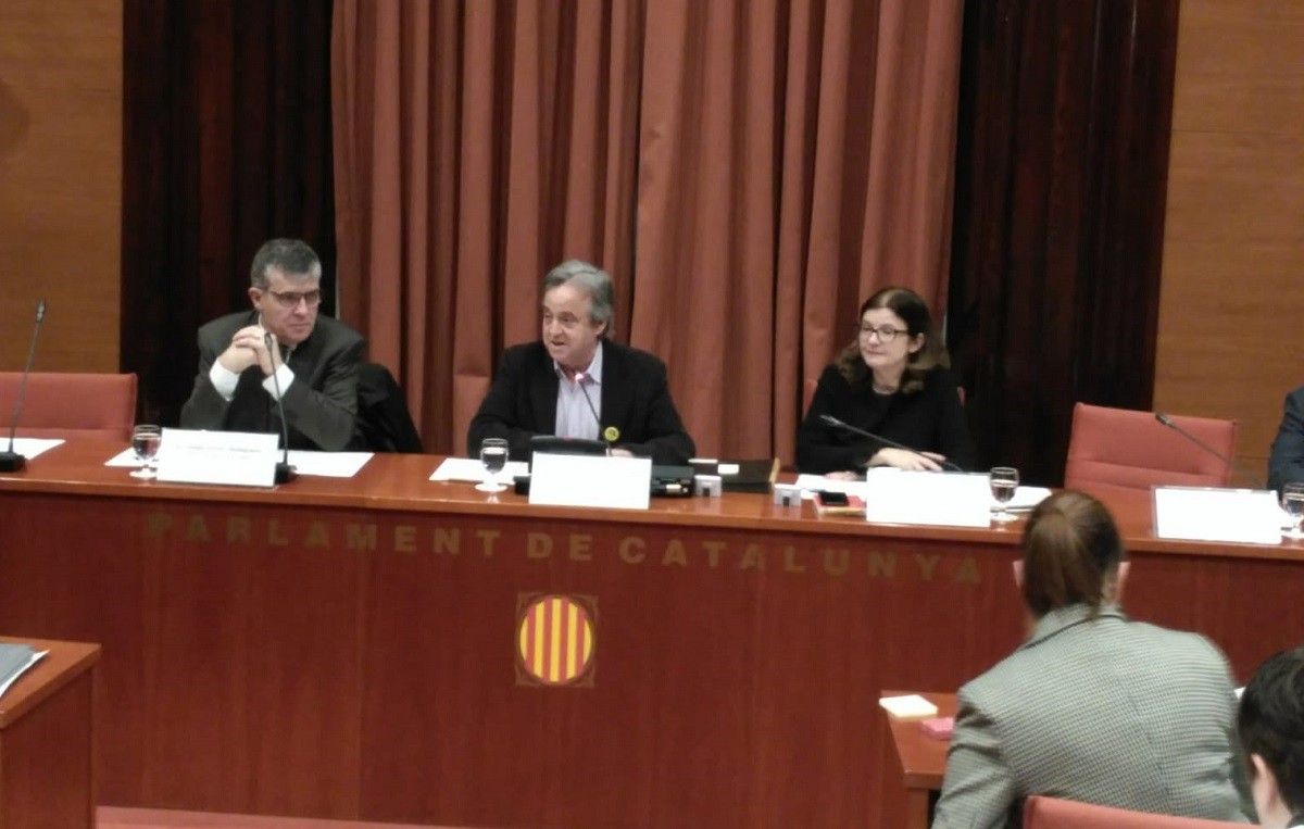 El director del Museu de Lleida a la comissió del 155 al Parlament.