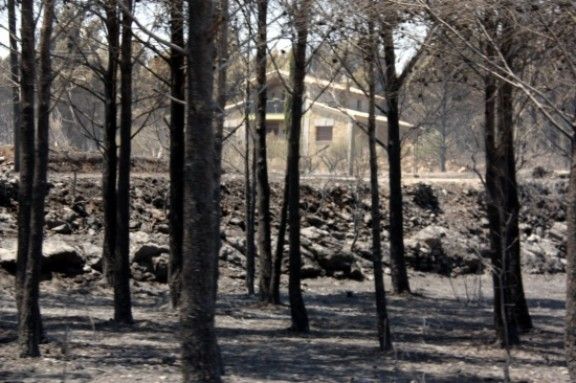 Imatge del bosc calcinat a la zona occidental de l'incendi de l'Alt Empordà, entre Terrades i Boadella.