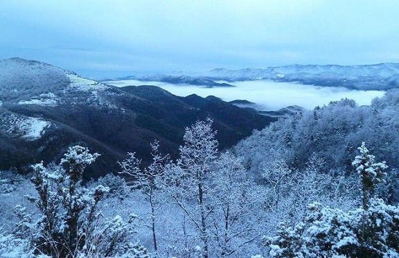 Serra Cavallera nevada ahir