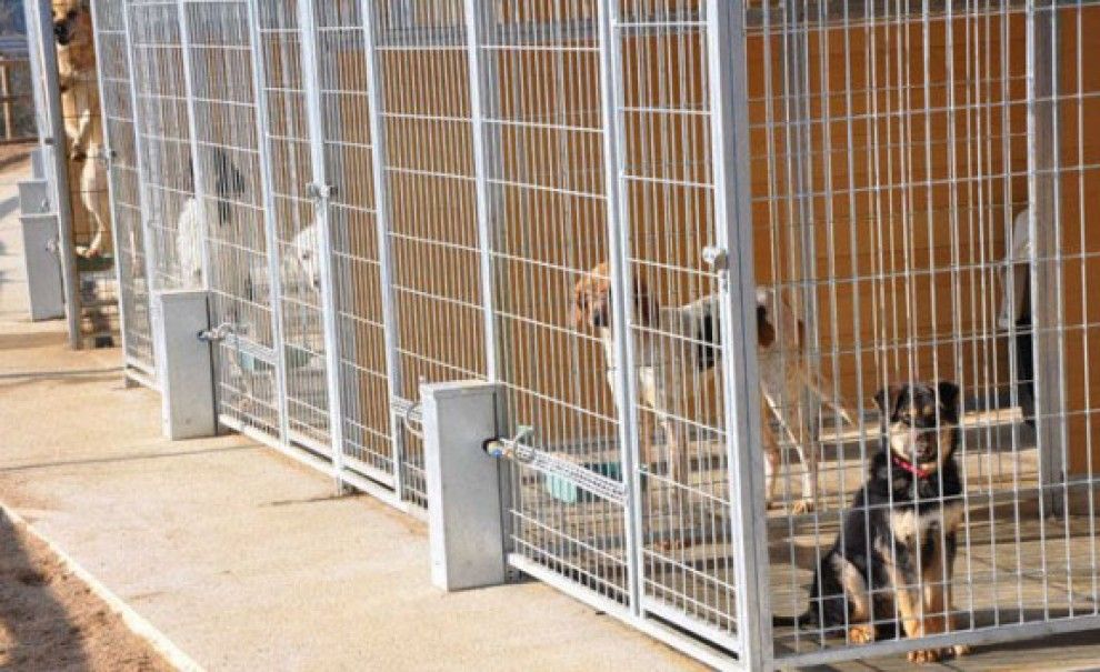 El Refugi d'animals del Ripollès s'ampliarà amb deu box més