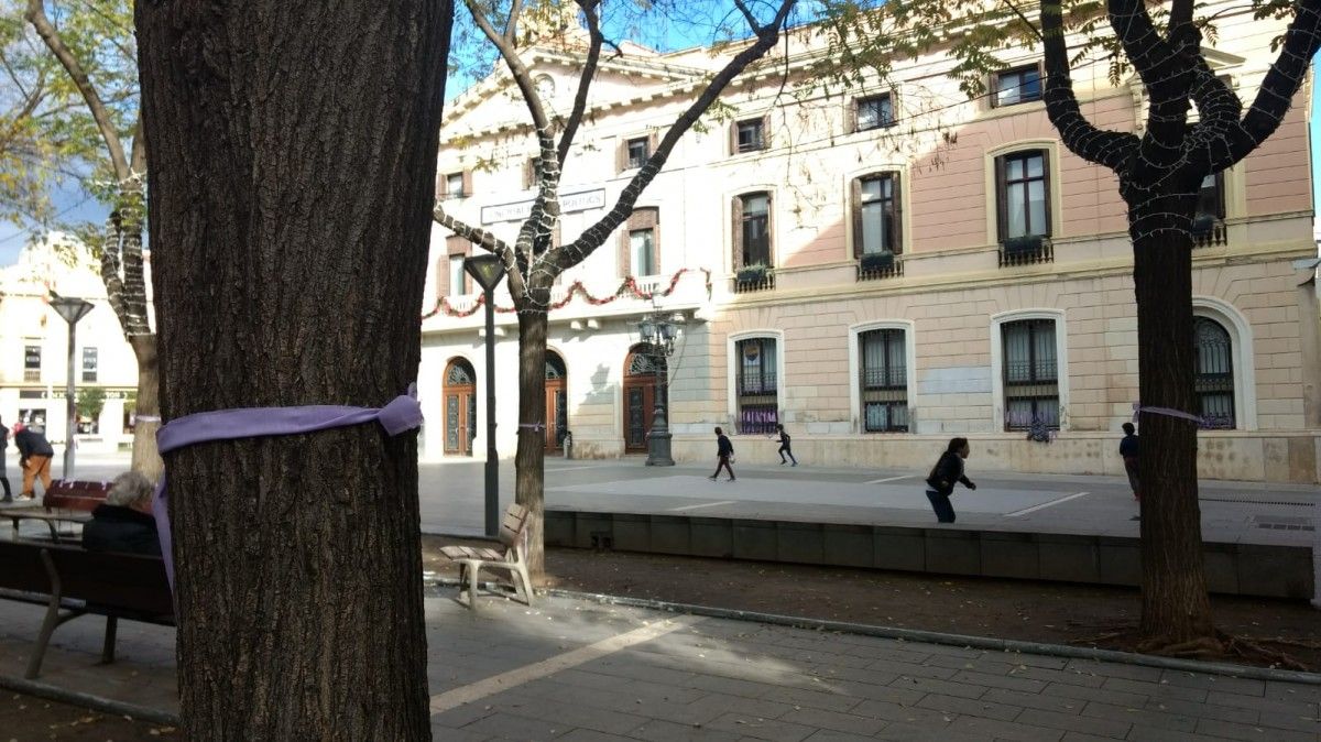 Un arbre de la plaça Sant Roc amb un llaç lila