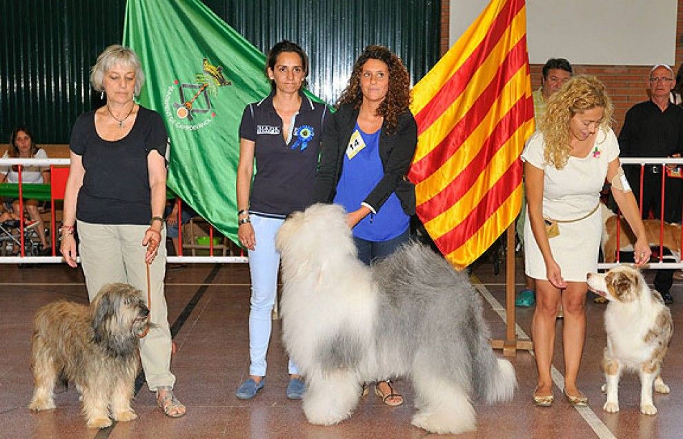 El Concurs Caní de Campdevànol va aplegar 160 gossos