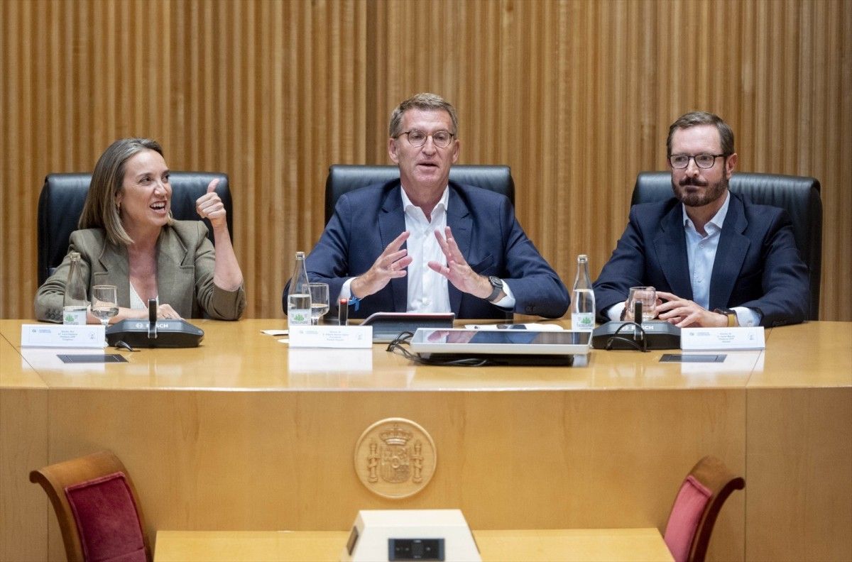 Cuca Gamarra, al Congrés dels Diputats.