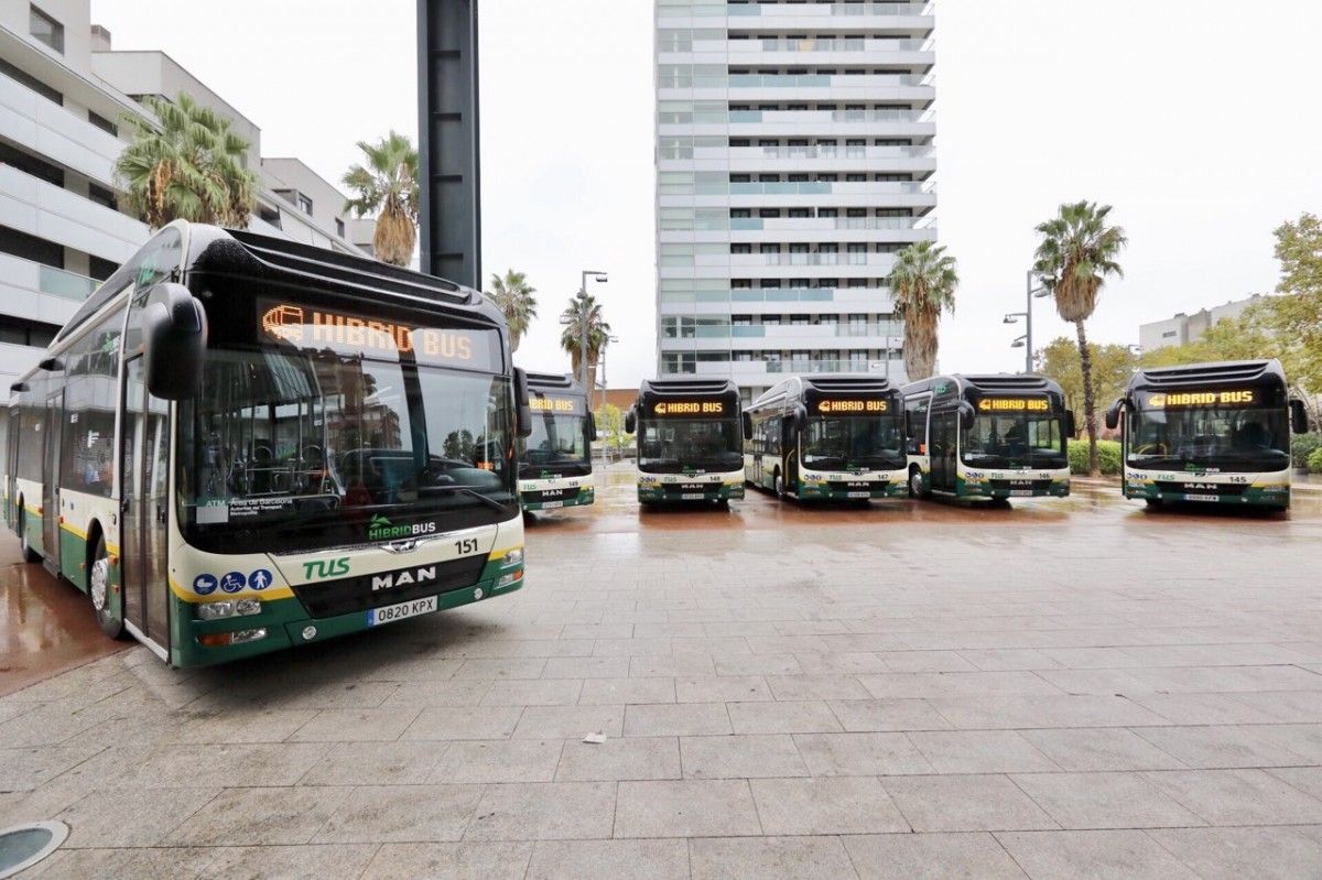 Una part de la flota dels autobusos híbrids de la TUS