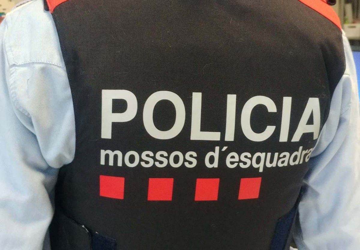 Els Mossos d'Esquadra han detingut dos lladres al Gironès.