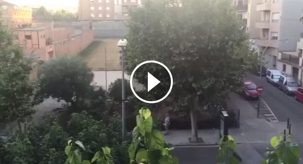 Un jubilat intentant espantar estornells amb un megàfon a Figueres