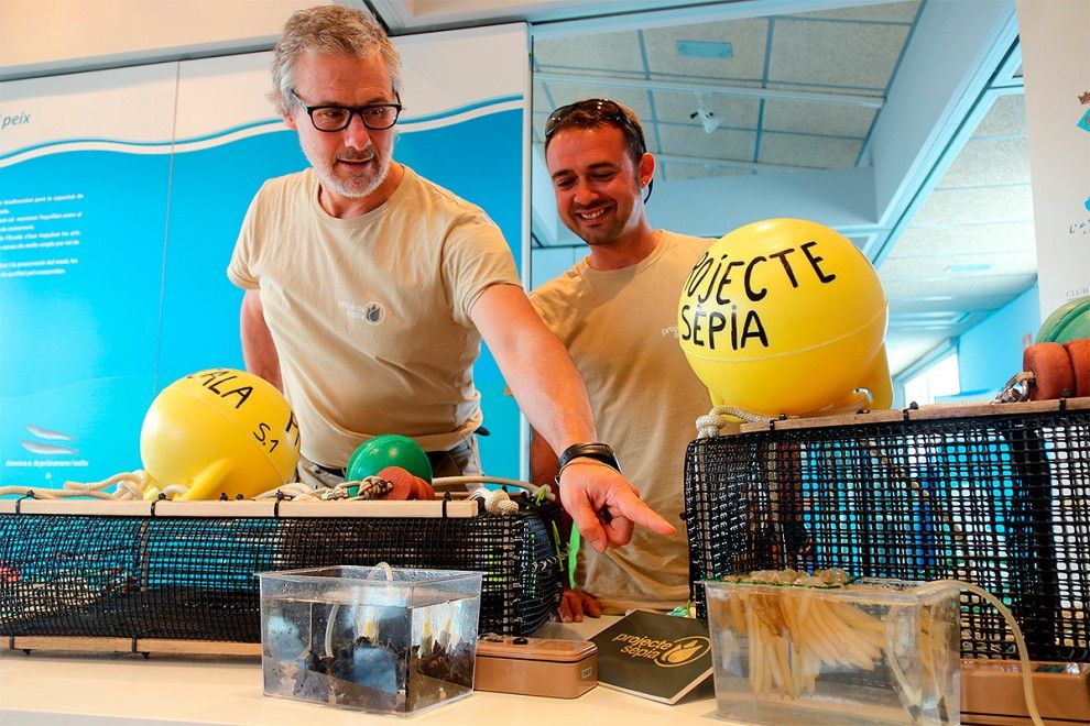 Els impulsors del projecte, el biòleg Boris Weitzmann i el pescador Isaac Moya, ensenyant ous de sèpia i calamar