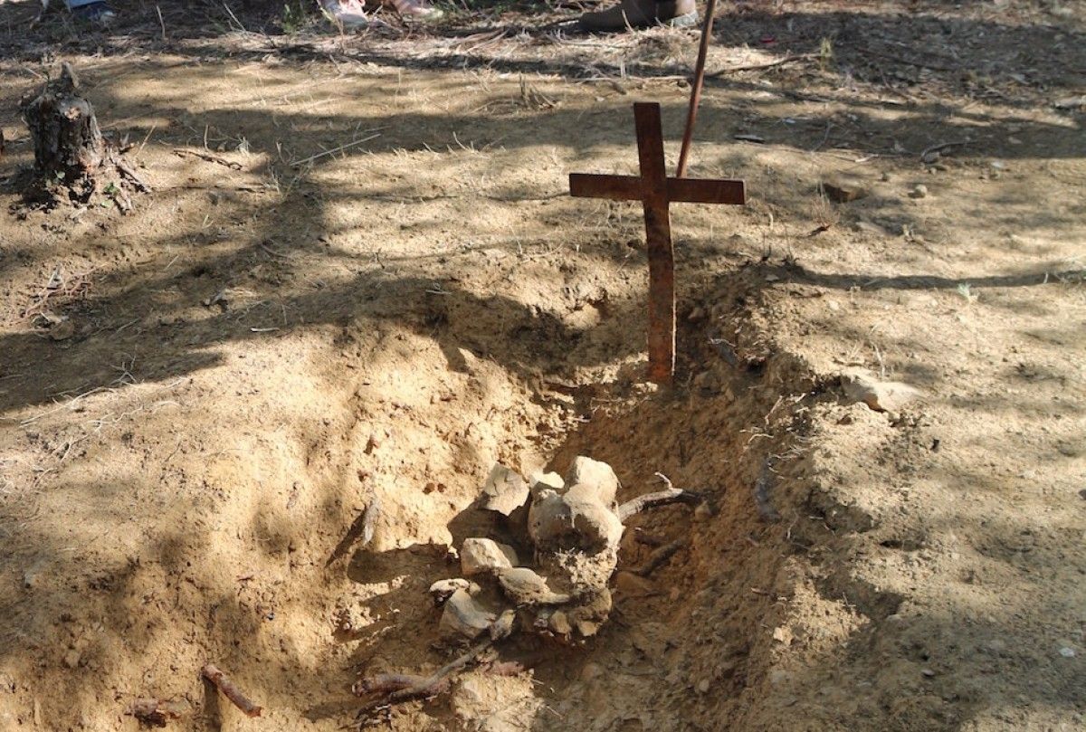 Una part de les restes òssies, amb el crani de l'individu localitzat a la fossa de Cassà de la Selva aquest 2 de setembre .