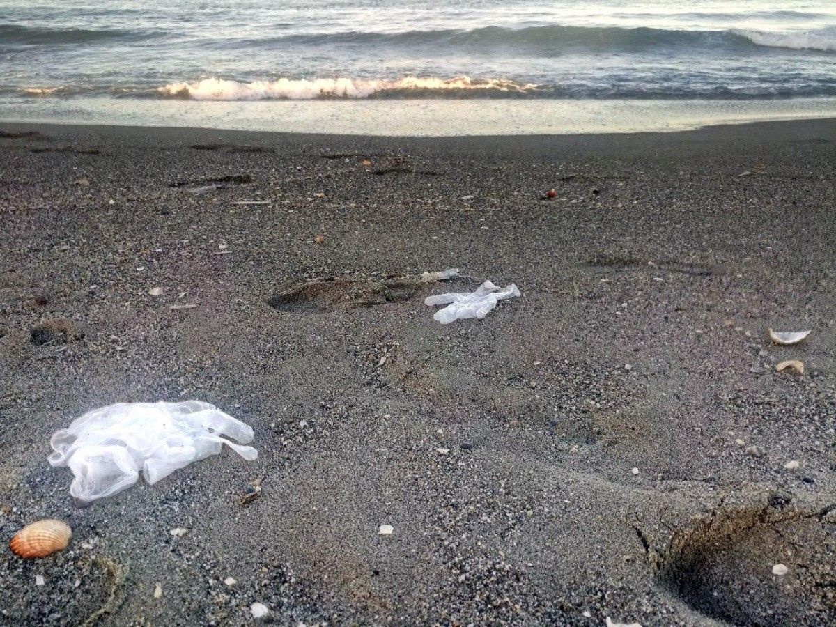 Una de les platges contaminades de l'informe «Banderes Negres 2020»