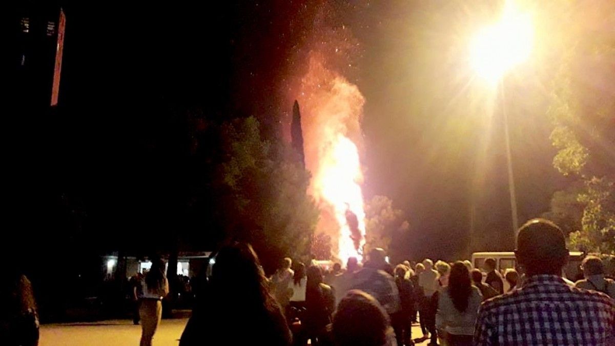 Incendi en un arbre a Ca n'Oriac