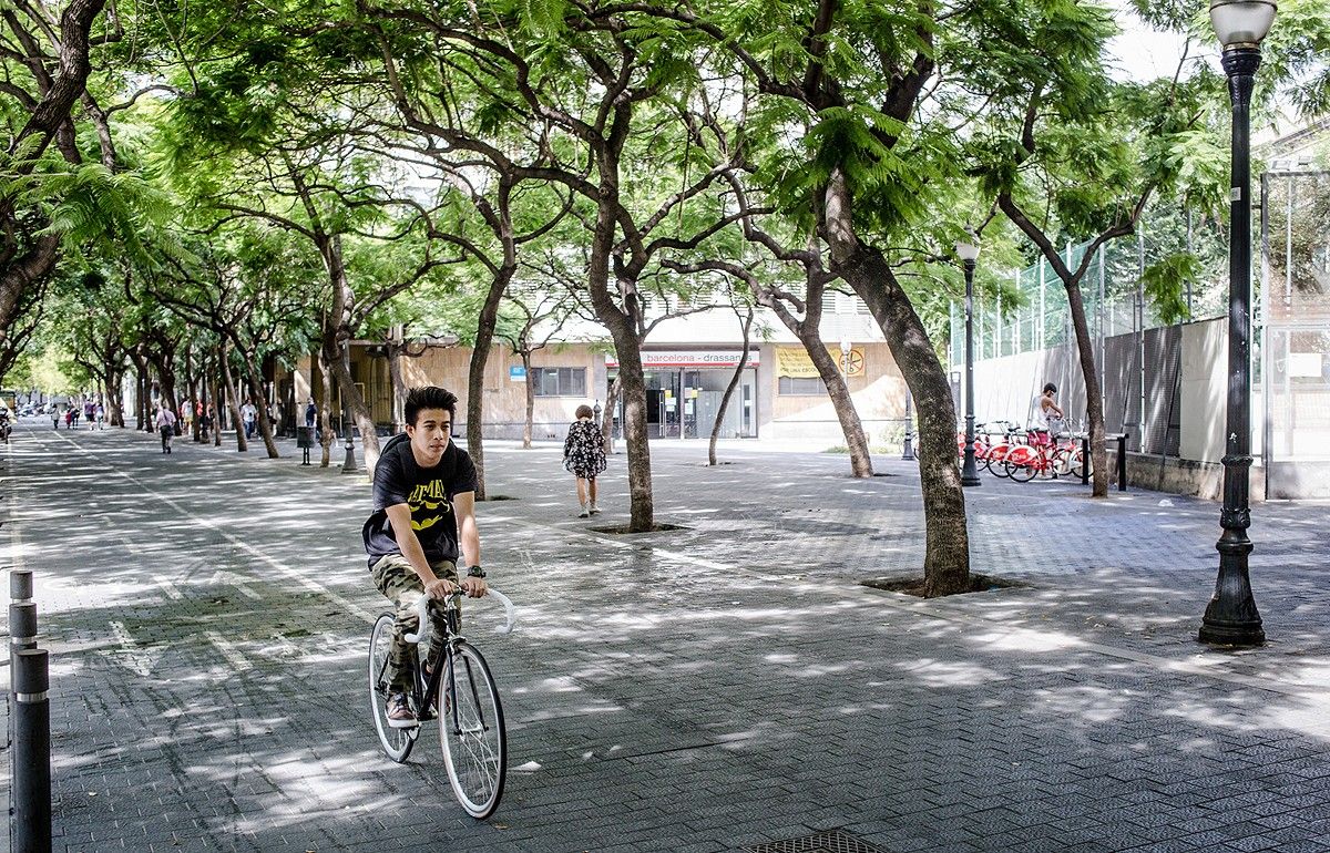 Un ciclista circulant per l'avinguda de les Drassanes