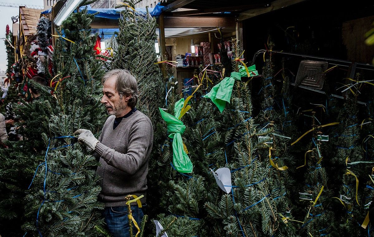 Una parada d'avets a la Fira de Santa Llúcia