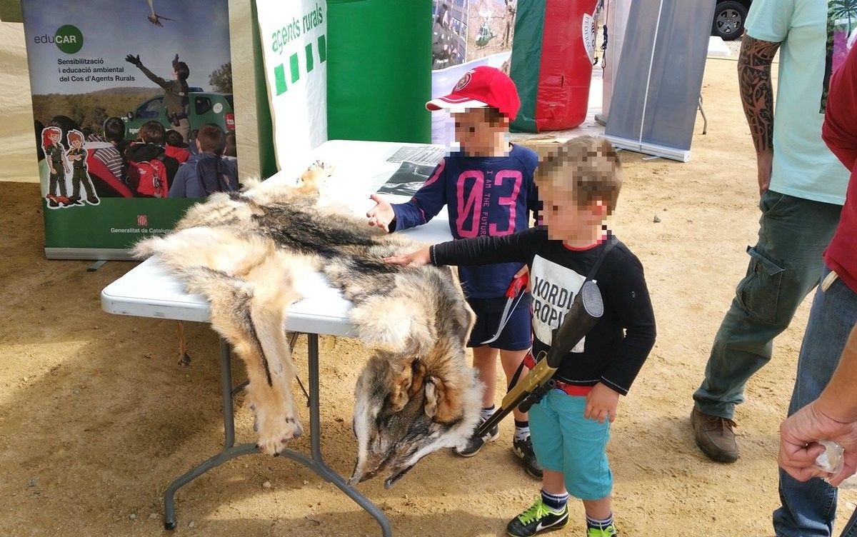 Uns infants toquen la pell d'un llop a la fira Girocaça de Santa Cristina d'Aro.