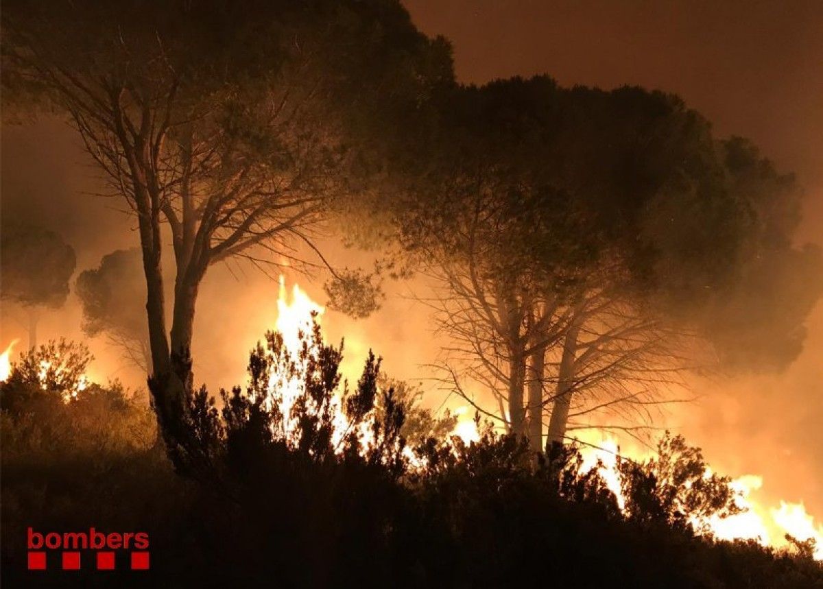 Incendi forestal a Llançà, en una zona forestal propera a l'N-260.
