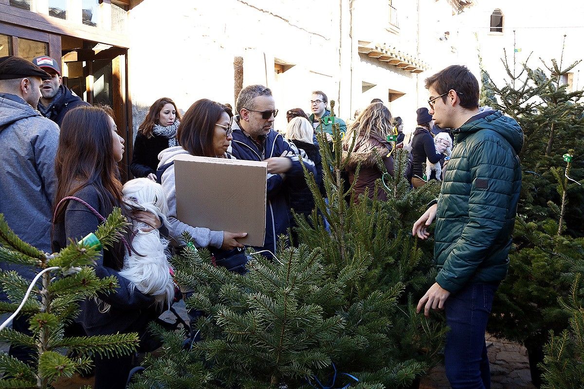 Una família comprant un arbre en una de les parades de la Fira de l'Avet.