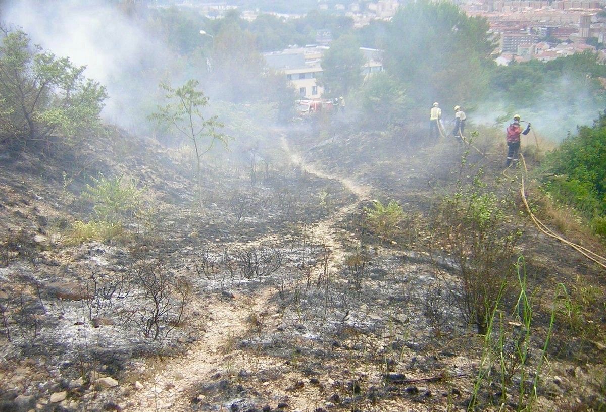 El foc aTorre Gironella ha afectat una superfície aproximada 2.660 metres quadrats de matollar i de pi blanc.