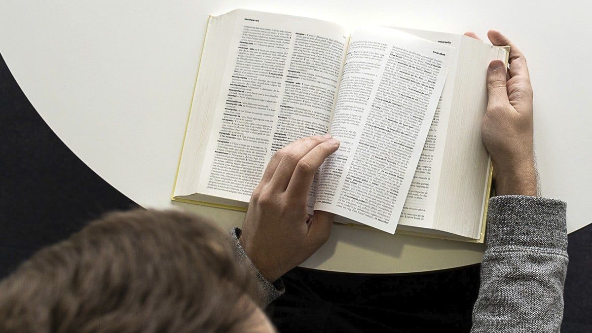 Un jove consulta un diccionari
