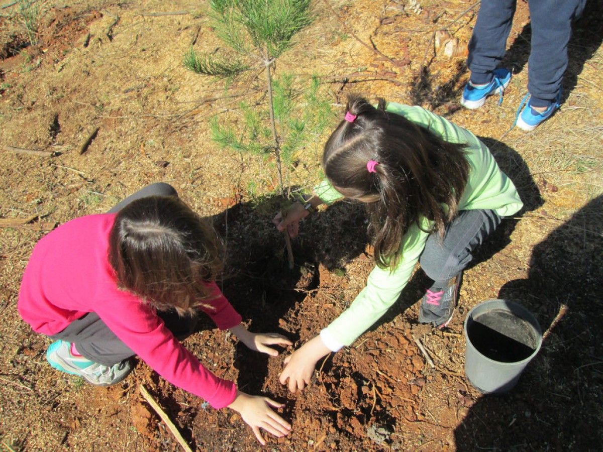 Dues nenes plantant un arbre a Castellarnau