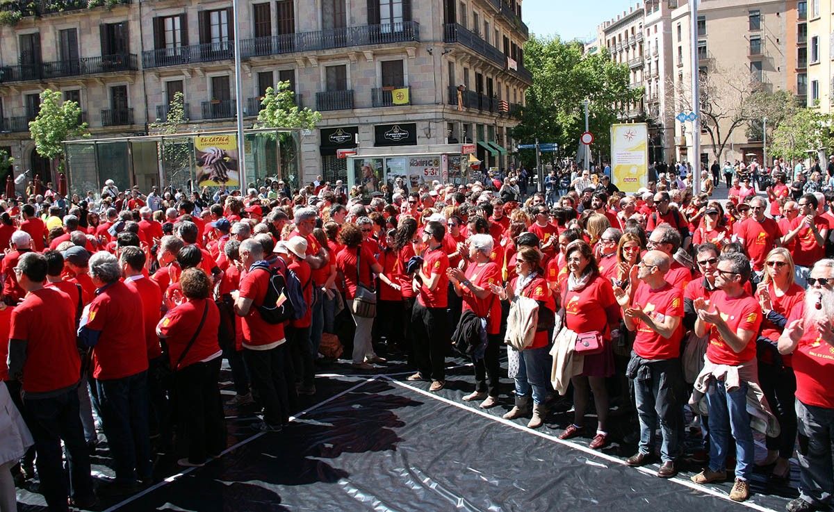 Voluntaris formen una rosa dels vents per reivindicar el català com a llengua comuna