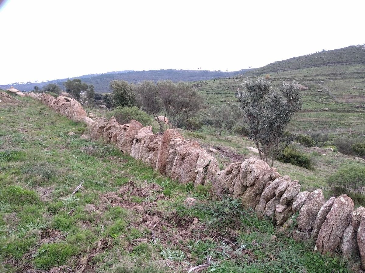 Millora d’hàbitats al paratge natural d’interès nacional de la Serra de Rodes.