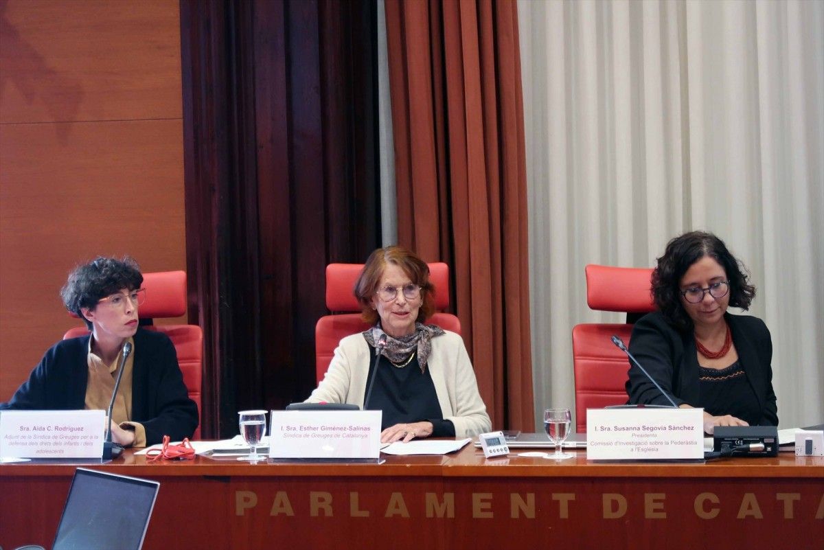 La comissió d'investigació del Parlament d'abusos a l'Esglèsia.