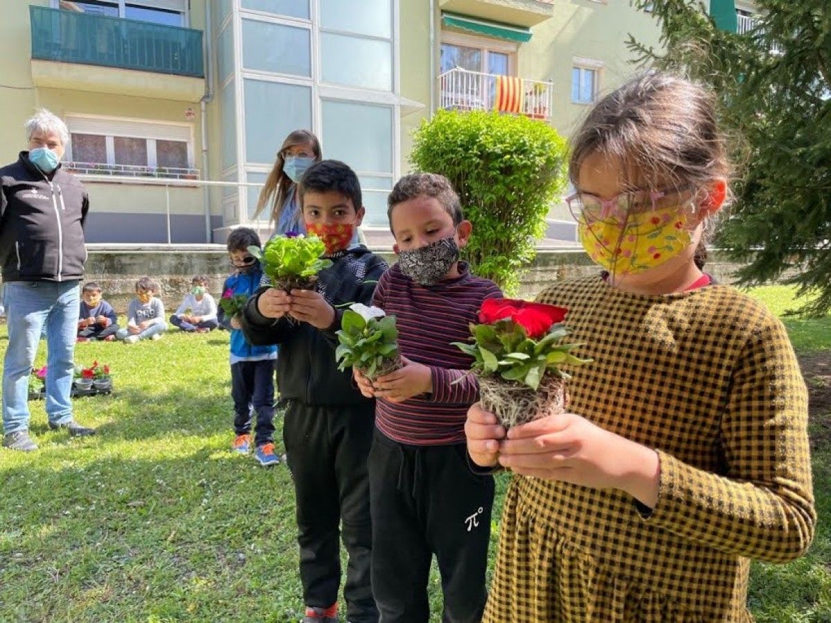 Alguns nens, amb unes torratxes de plantes