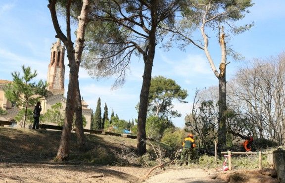 Imatge d'operaris talant restes d'arbres a la zona del santuari de La Salut