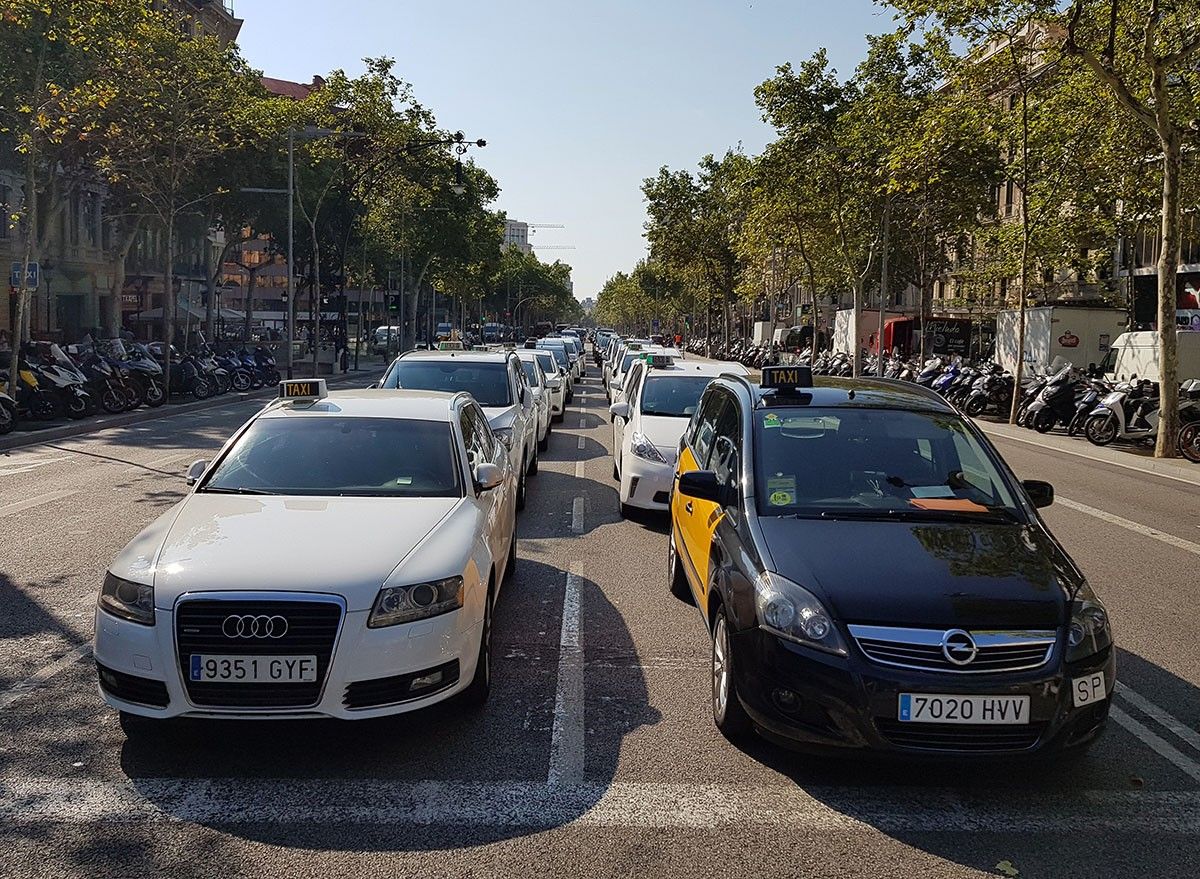 Taxis estacionats al bell mig del passeig de Gràcia de Barcelona