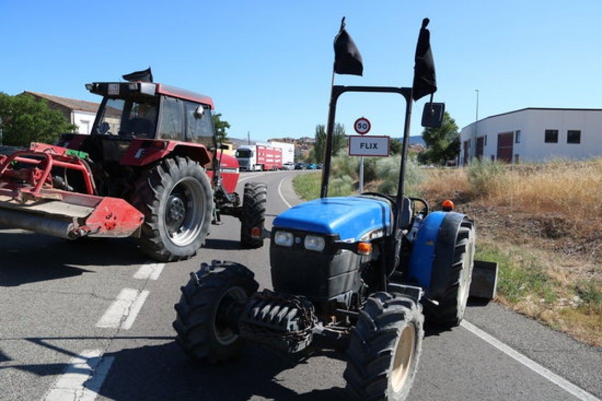 Un tractor que talla la C-12